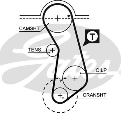 Gates 5016 - Zahnriemen alexcarstop-ersatzteile.com