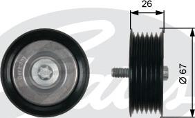 Gates T36438 - Umlenk / Führungsrolle, Keilrippenriemen alexcarstop-ersatzteile.com