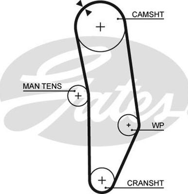 GATES-AU T025 - Zahnriemen alexcarstop-ersatzteile.com