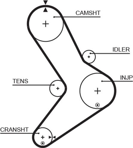 GATES-AU T1555 - Zahnriemen alexcarstop-ersatzteile.com