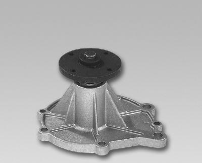 GK 981750 - Wasserpumpe alexcarstop-ersatzteile.com