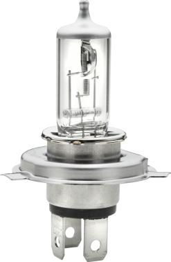 HELLA 8GJ 002 525-898 - Glühlampe, Hauptscheinwerfer alexcarstop-ersatzteile.com