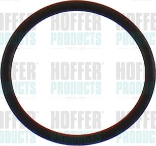 Hoffer 98787 - Gummiring alexcarstop-ersatzteile.com