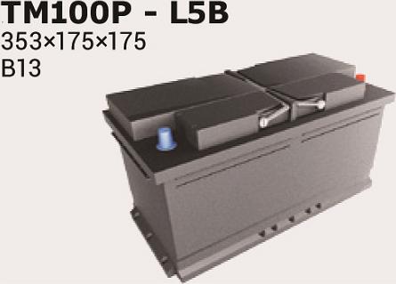 IPSA TM100P - Starterbatterie alexcarstop-ersatzteile.com