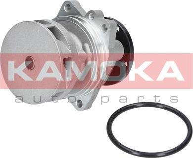 Kamoka T0059 - Wasserpumpe alexcarstop-ersatzteile.com