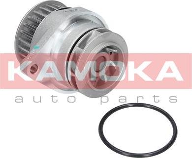 Kamoka T0249 - Wasserpumpe alexcarstop-ersatzteile.com