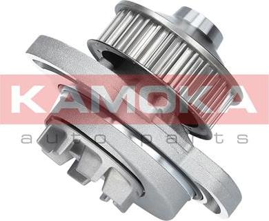 Kamoka T0254 - Wasserpumpe alexcarstop-ersatzteile.com