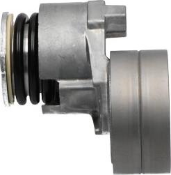 Kavo Parts DTP-6509 - Umlenk / Führungsrolle, Keilrippenriemen alexcarstop-ersatzteile.com