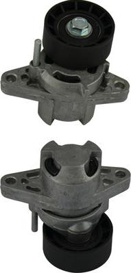 Kavo Parts DTP-6504 - Umlenk / Führungsrolle, Keilrippenriemen alexcarstop-ersatzteile.com