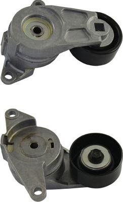 Kavo Parts DTP-1010 - Umlenk / Führungsrolle, Keilrippenriemen alexcarstop-ersatzteile.com