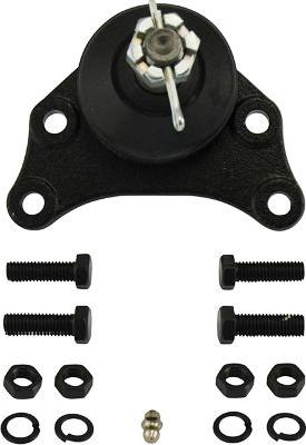 Kavo Parts SBJ-9019 - Trag / Führungsgelenk alexcarstop-ersatzteile.com