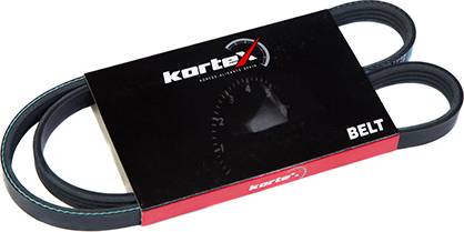 Kortex KDB006 - Keilrippenriemen alexcarstop-ersatzteile.com