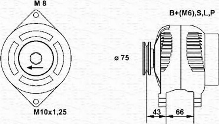 Magneti Marelli 943355172010 - Generator alexcarstop-ersatzteile.com