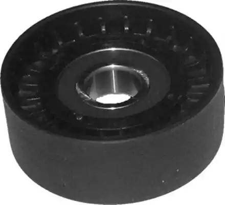 Magneti Marelli 331316170151 - Umlenk / Führungsrolle, Keilrippenriemen alexcarstop-ersatzteile.com