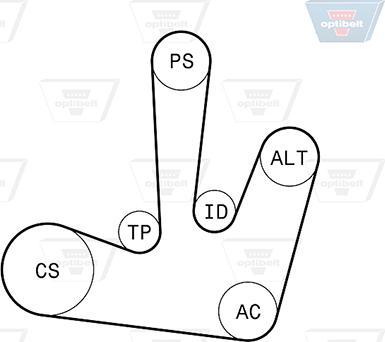 Optibelt 6 PK 1795KT1 - Keilrippenriemensatz alexcarstop-ersatzteile.com