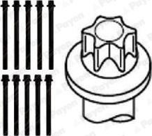 Payen HBS102 - Zylinderkopfschraubensatz alexcarstop-ersatzteile.com
