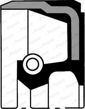 Payen NP067 - Wellendichtring, Kurbelwelle alexcarstop-ersatzteile.com