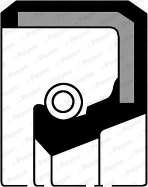 Payen NB775 - Wellendichtring, Nockenwelle alexcarstop-ersatzteile.com