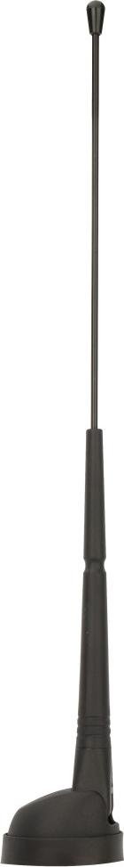 PHONOCAR 08067 - Antenne alexcarstop-ersatzteile.com