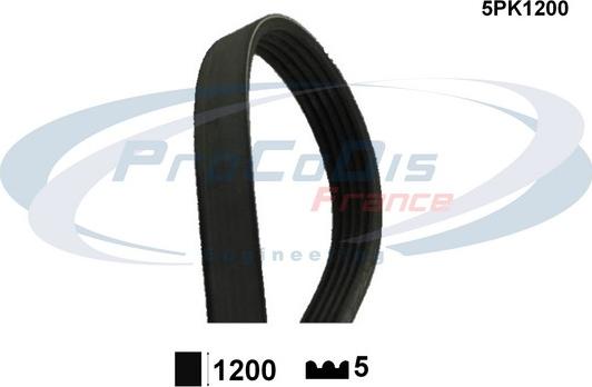 Procodis France 5PK1200 - Keilrippenriemen alexcarstop-ersatzteile.com