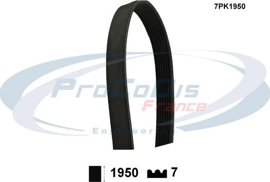 Procodis France 7PK1950 - Keilrippenriemen alexcarstop-ersatzteile.com