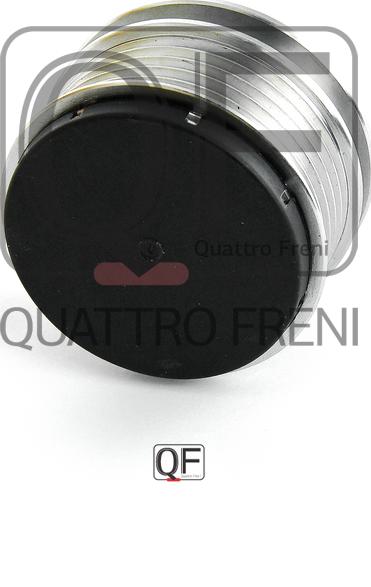 Quattro Freni QF41P00062 - Riemenscheibe, Generator alexcarstop-ersatzteile.com