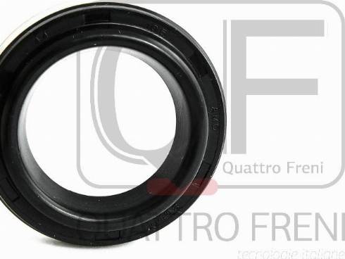 Quattro Freni QF53A00013 - Dichtring, Kerzenschacht alexcarstop-ersatzteile.com