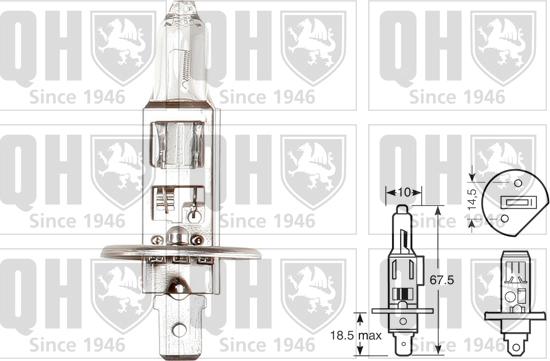 Quinton Hazell QBL448 - Glühlampe alexcarstop-ersatzteile.com