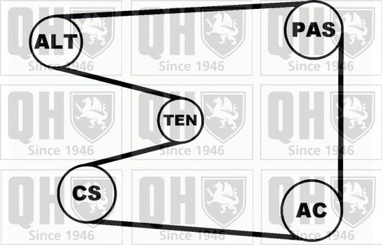 Quinton Hazell QDK61 - Keilrippenriemensatz alexcarstop-ersatzteile.com