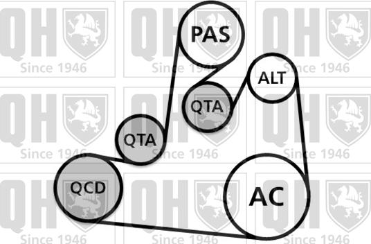 Quinton Hazell QDK106 - Keilrippenriemensatz alexcarstop-ersatzteile.com