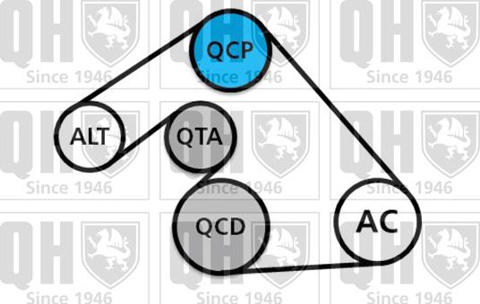 Quinton Hazell QDK123 - Keilrippenriemensatz alexcarstop-ersatzteile.com