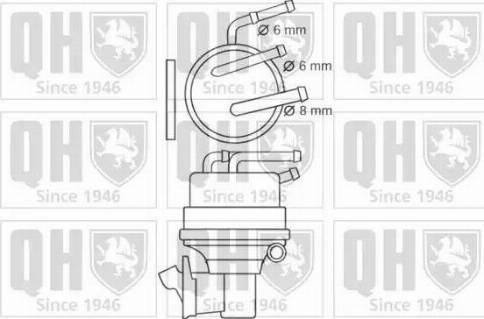 Quinton Hazell QFP257 - Kraftstoffpumpe alexcarstop-ersatzteile.com