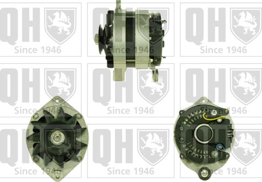 Quinton Hazell QRA1310 - Generator alexcarstop-ersatzteile.com