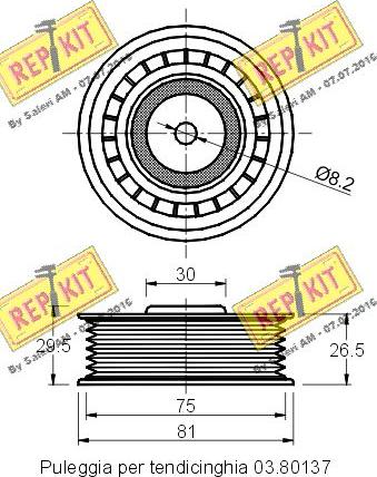 REPKIT RKT1578 - Umlenk / Führungsrolle, Keilrippenriemen alexcarstop-ersatzteile.com