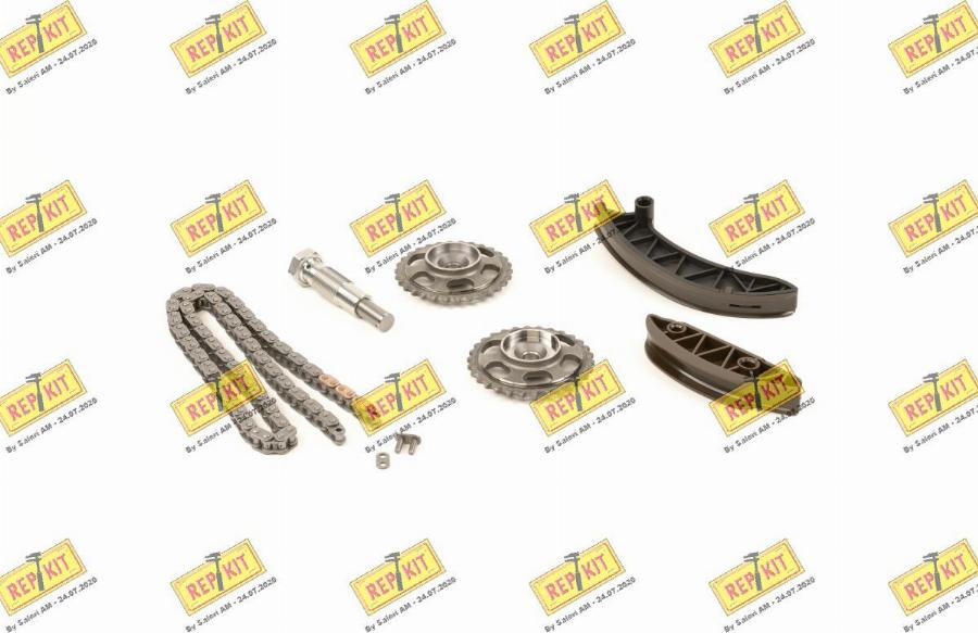 REPKIT RKT89137K - Steuerkettensatz alexcarstop-ersatzteile.com