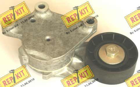 REPKIT RKT3125 - Umlenk / Führungsrolle, Keilrippenriemen alexcarstop-ersatzteile.com