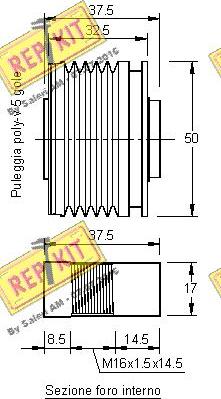 REPKIT RKT2945 - Riemenscheibe, Generator alexcarstop-ersatzteile.com