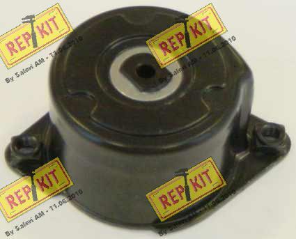 REPKIT RKT2556 - Riemenspanner, Keilrippenriemen alexcarstop-ersatzteile.com