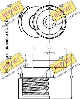 REPKIT RKT2809 - Riemenspanner, Keilrippenriemen alexcarstop-ersatzteile.com