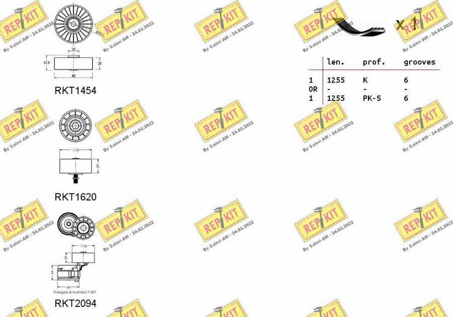 REPKIT RKTA0060 - Keilrippenriemensatz alexcarstop-ersatzteile.com