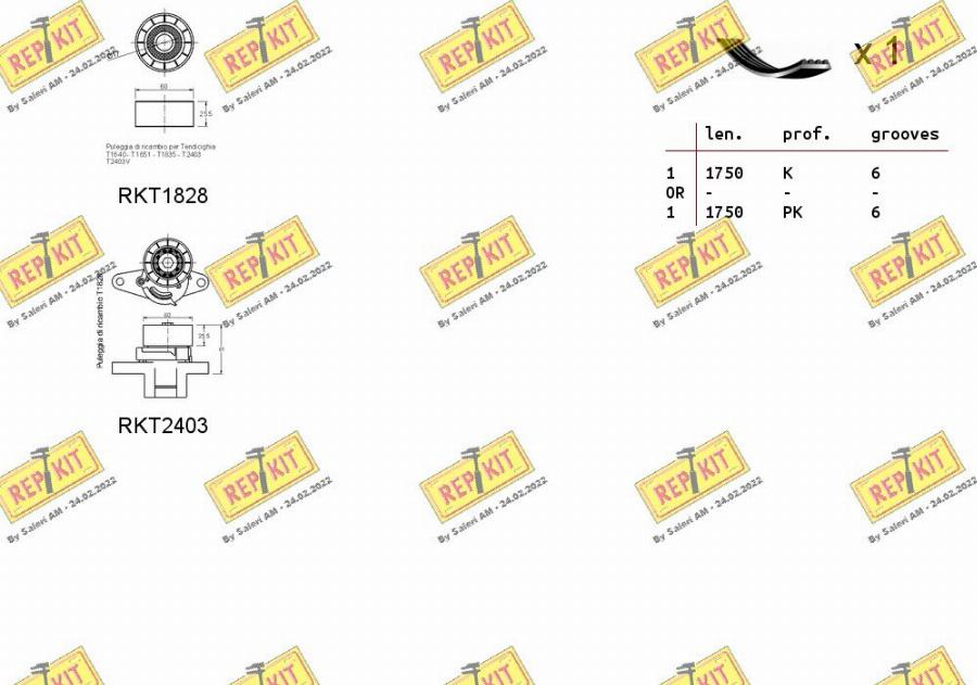 REPKIT RKTA0028 - Keilrippenriemensatz alexcarstop-ersatzteile.com