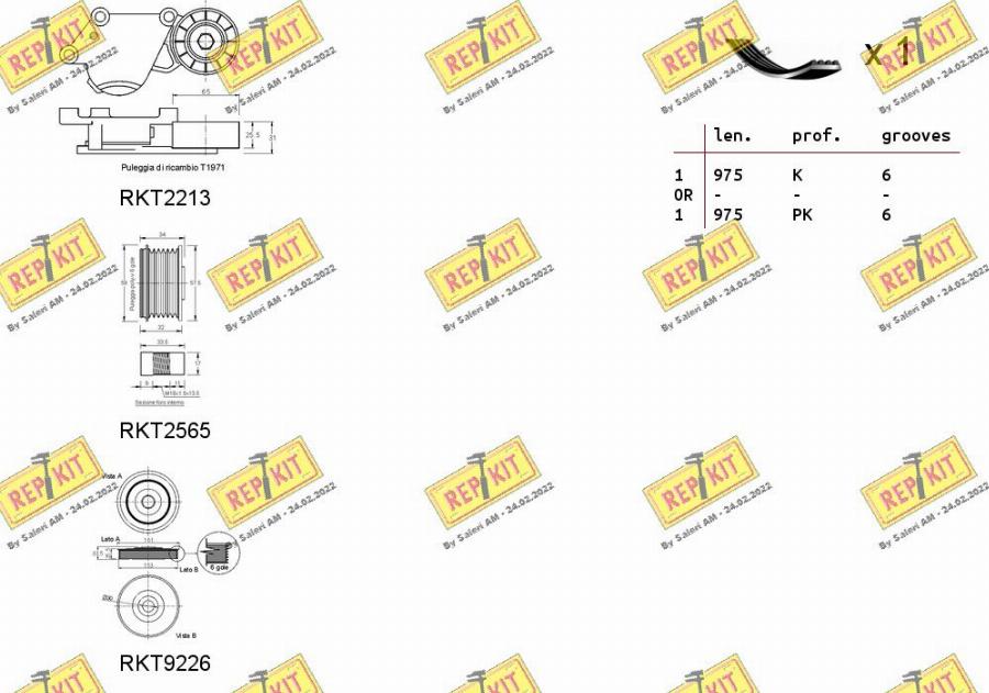 REPKIT RKTA0111 - Keilrippenriemensatz alexcarstop-ersatzteile.com