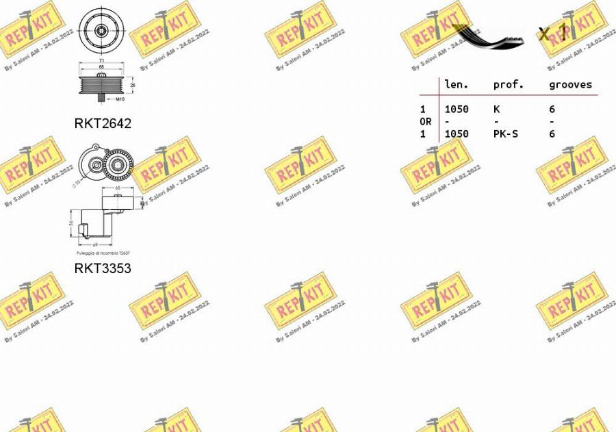 REPKIT RKTA0128 - Keilrippenriemensatz alexcarstop-ersatzteile.com