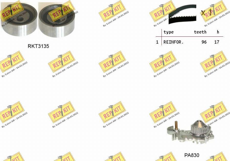 REPKIT RKTK1115PA - Wasserpumpe + Zahnriemensatz alexcarstop-ersatzteile.com