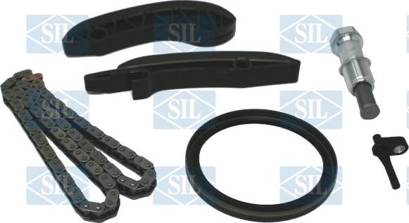 Saleri SIL CK5200 - Steuerkettensatz alexcarstop-ersatzteile.com