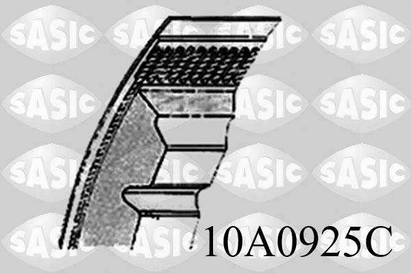 Sasic 10A0925C - Keilrippenriemen alexcarstop-ersatzteile.com