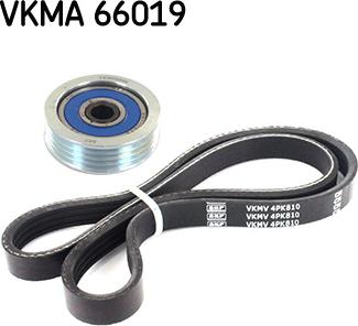 SKF VKMA 66019 - Keilrippenriemensatz alexcarstop-ersatzteile.com