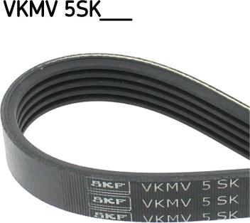 SKF VKMV 5SK690 - Keilrippenriemen alexcarstop-ersatzteile.com