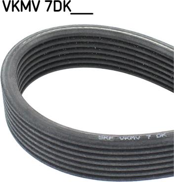 SKF VKMV 7DK1884 - Keilrippenriemen alexcarstop-ersatzteile.com