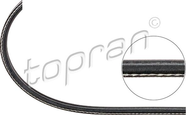 Topran 109 623 - Keilrippenriemen alexcarstop-ersatzteile.com